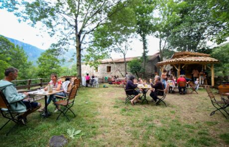 camping-aupres-de-mon-arbre-espace-guinguette-bar-soiree-festif-min Espace extérieur sous les arbres pour fêtes et repas de groupe, camping en Ardèche